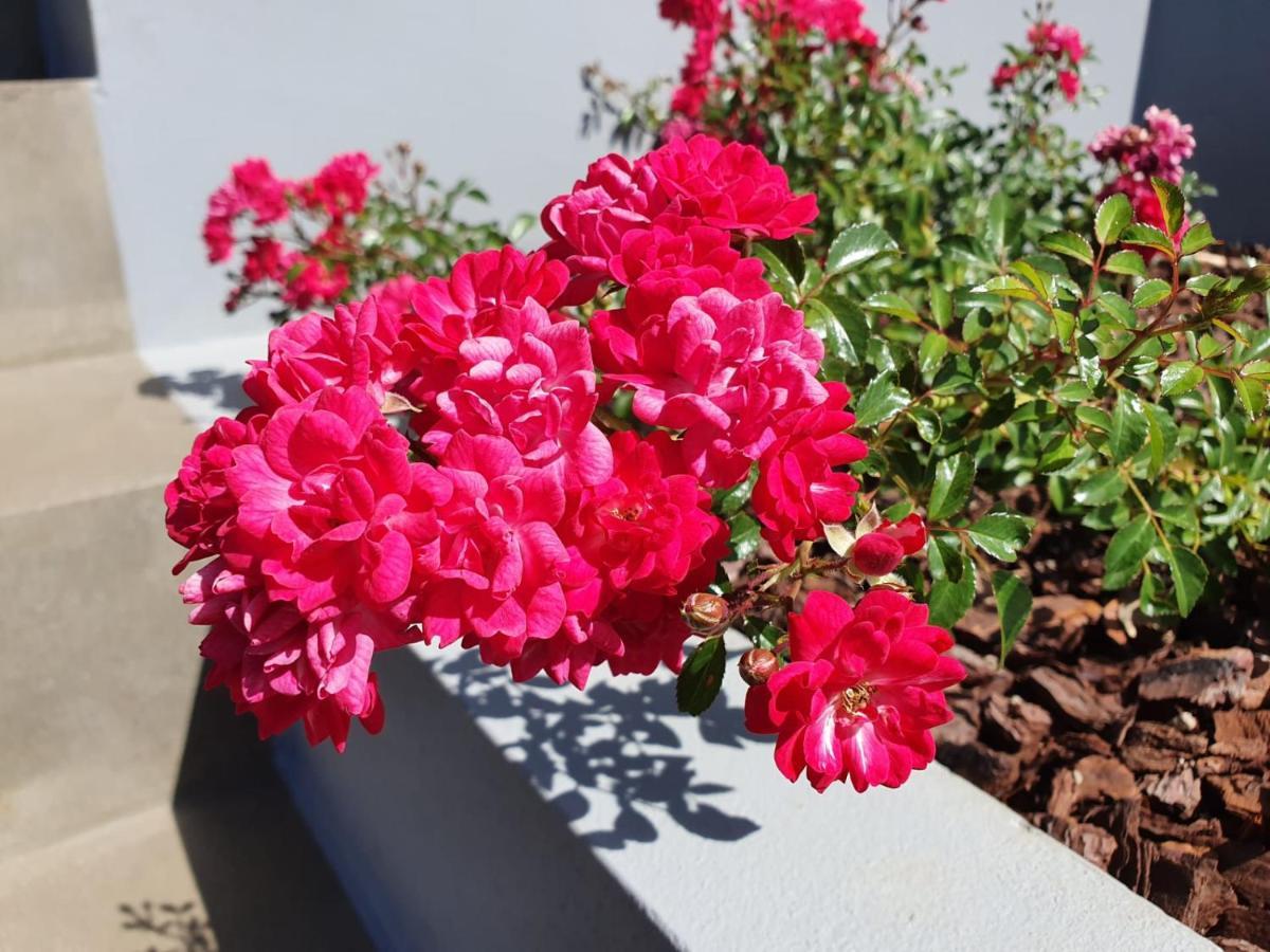 Casa Atlantico Dachterrassengeschoss Διαμέρισμα Ribeira Brava Εξωτερικό φωτογραφία