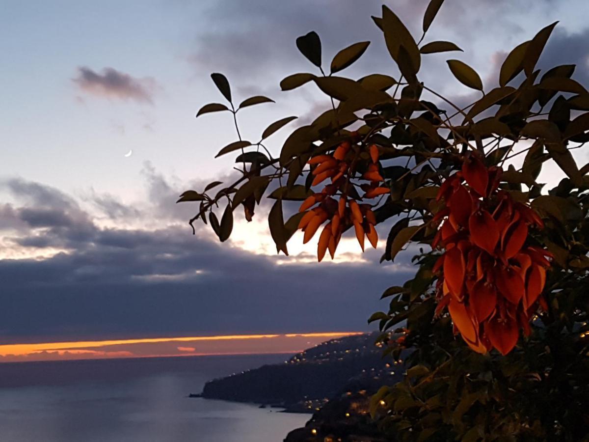 Casa Atlantico Dachterrassengeschoss Διαμέρισμα Ribeira Brava Εξωτερικό φωτογραφία